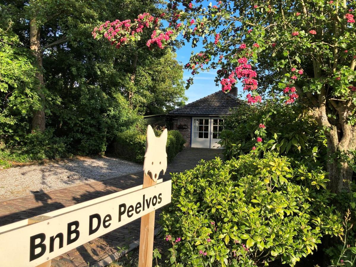 Bnb De Peelvos Дёрне Экстерьер фото